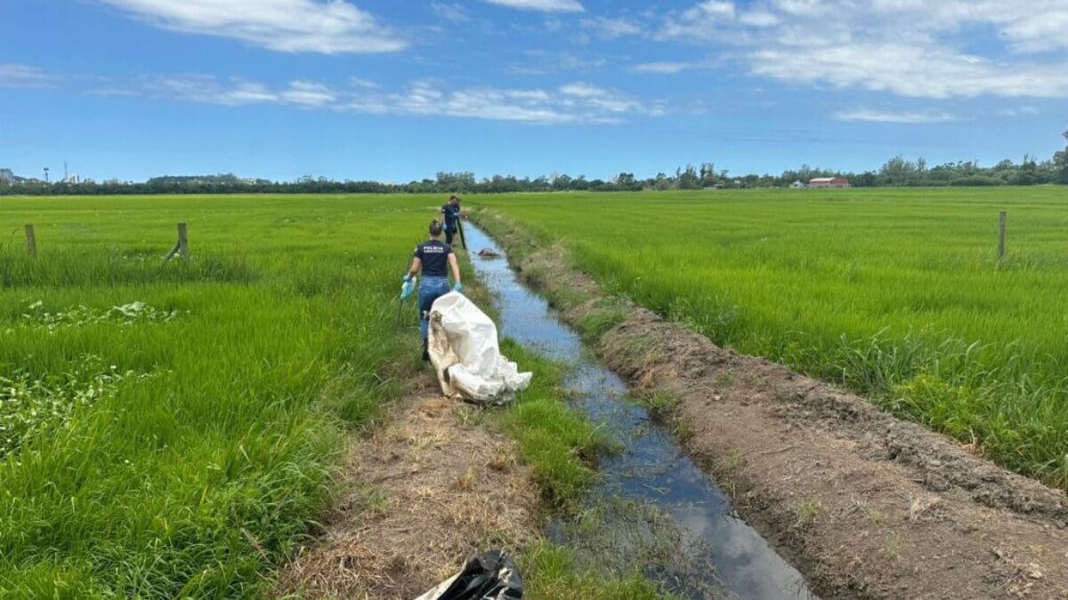 Quem era o homem encontrado morto e em estado de decomposição em granja de arroz no Sul de SC