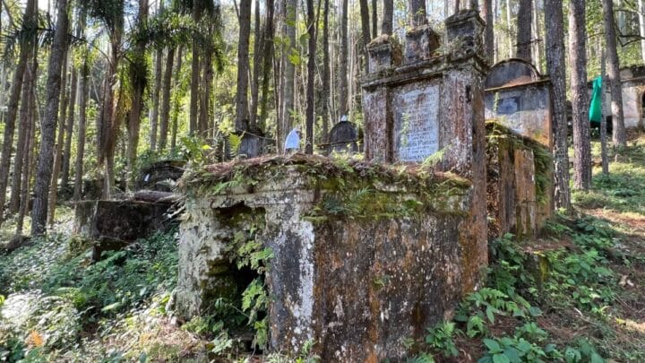 Conheça o cemitério de imigrantes italianos que será restaurado em pequena cidade de SC