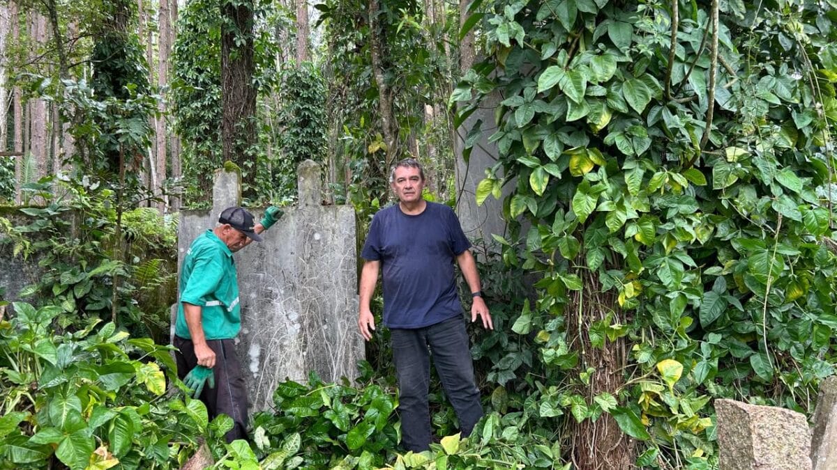 Conheça o cemitério de imigrantes italianos que será restaurado em pequena cidade de SC 