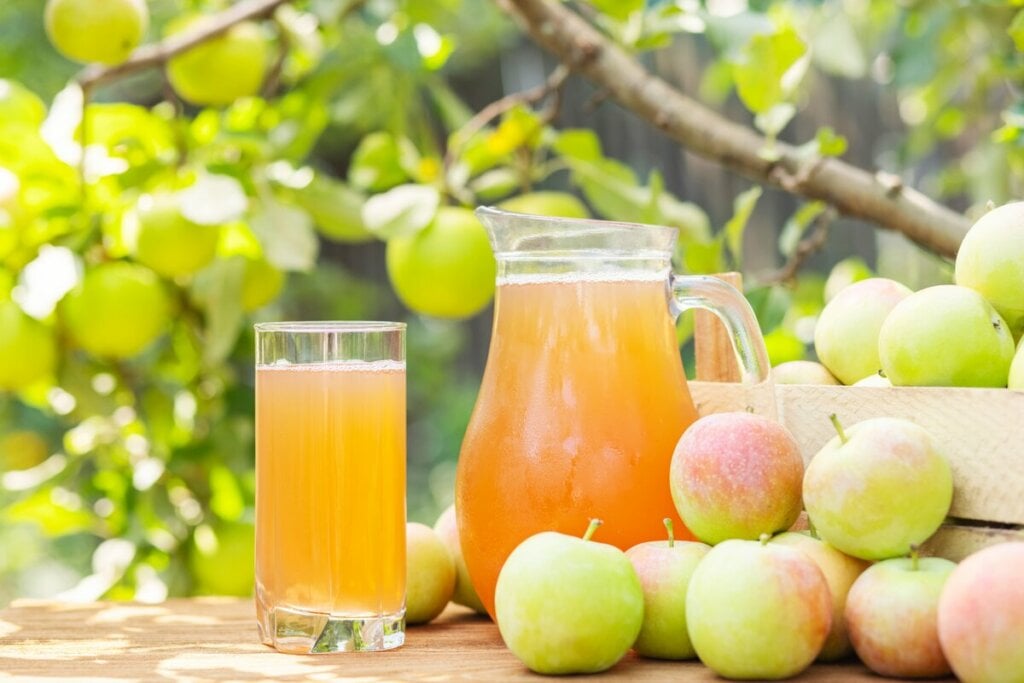 Suco de maçã com canela e gengibre (Imagem: Andrii Spy_k | Shutterstock)