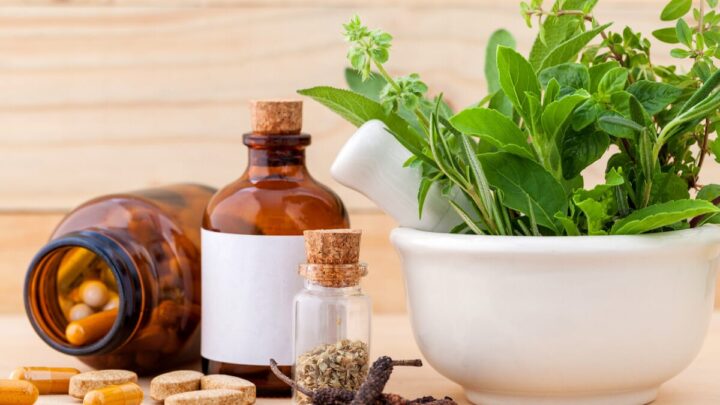 Plantas medicinais e fitoterápicos são utilizados para combater problemas de saúde (Imagem: Shutterstock)