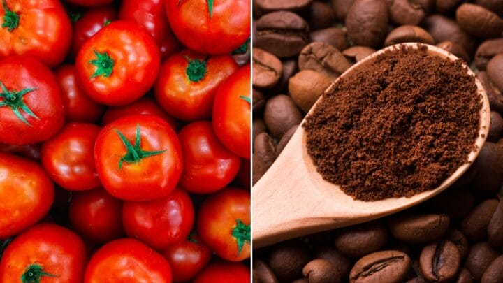 Tomate e café tiveram as maiores altas no grupo de alimentação, o que mais registrou variação em janeiro (Fotos: Banco de imagens)