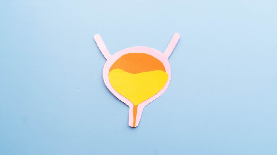 O câncer de bexiga é o terceiro tumor mais comum do trato urinário (Imagem: Orawan Pattarawimonchai | Shutterstock)