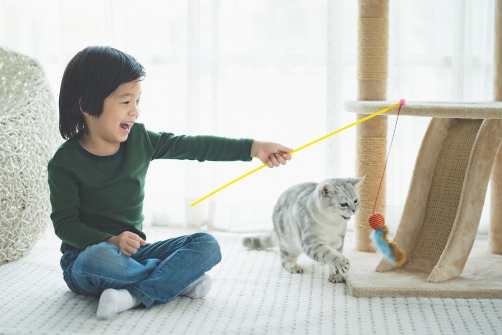 As brincadeiras ajudam a reduzir o estresse nos gatos (Imagem: ANURAK PONGPATIMET | Shutterstock)