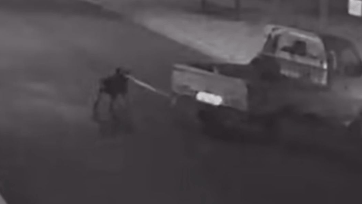 Homem que arrastou cão em caminhonete em Chapecó pode ter agido por vingança, diz polícia