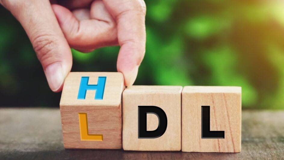 Desmistificar os mitos sobre o colesterol alto é fundamental para manter a saúde do sistema cardiovascular (Imagem: Oasishifi | Shutterstock)