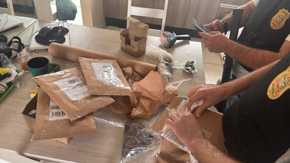 Fábrica de anabolizantes é descoberta e homem é preso na Grande Florianópolis