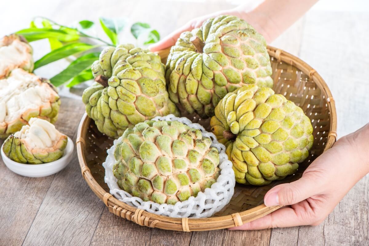 A fruta-do-conde tem uma alta qualidade nutricional e é muito apreciada na culinária (Imagem: Romix Image | Shutterstock)