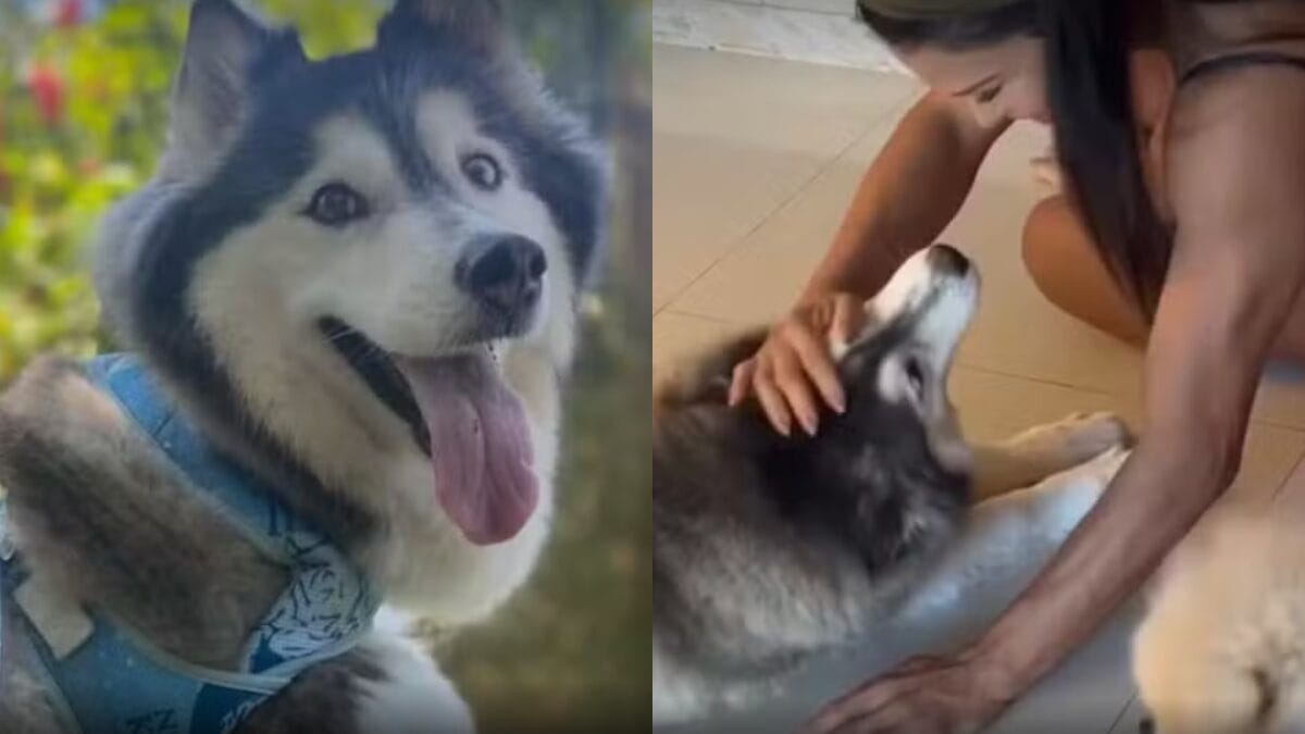 Gracyanne Barbosa tem sonho “premonitório” enquanto família vive drama fora da casa