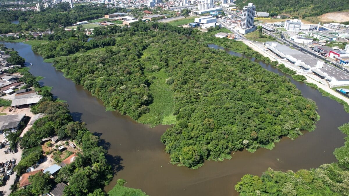 Ilha das Capivaras