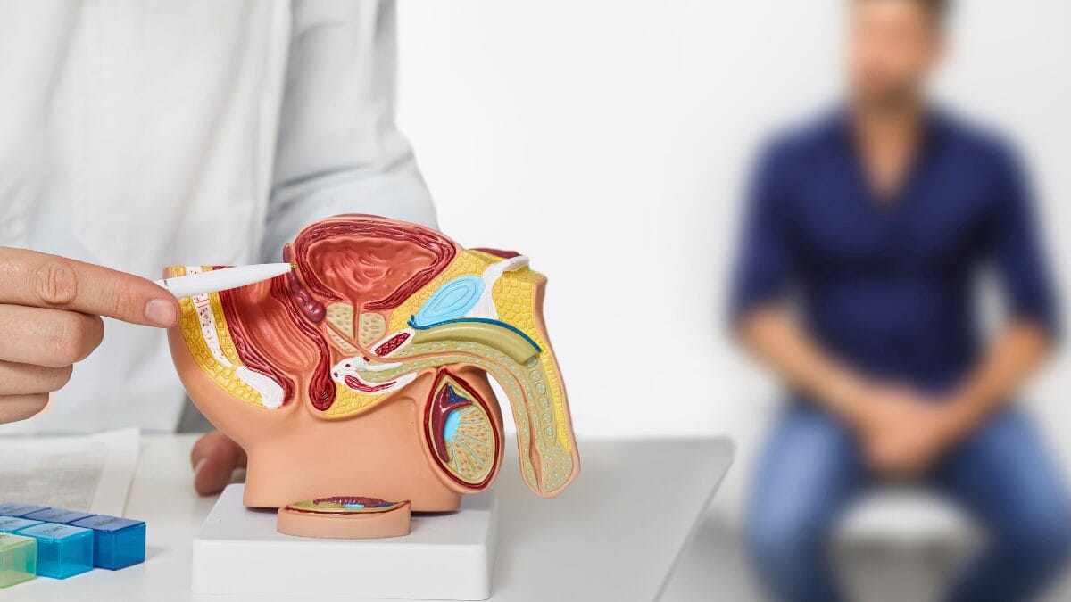 O que faz um homem ser infértil Conheça a azoospermia