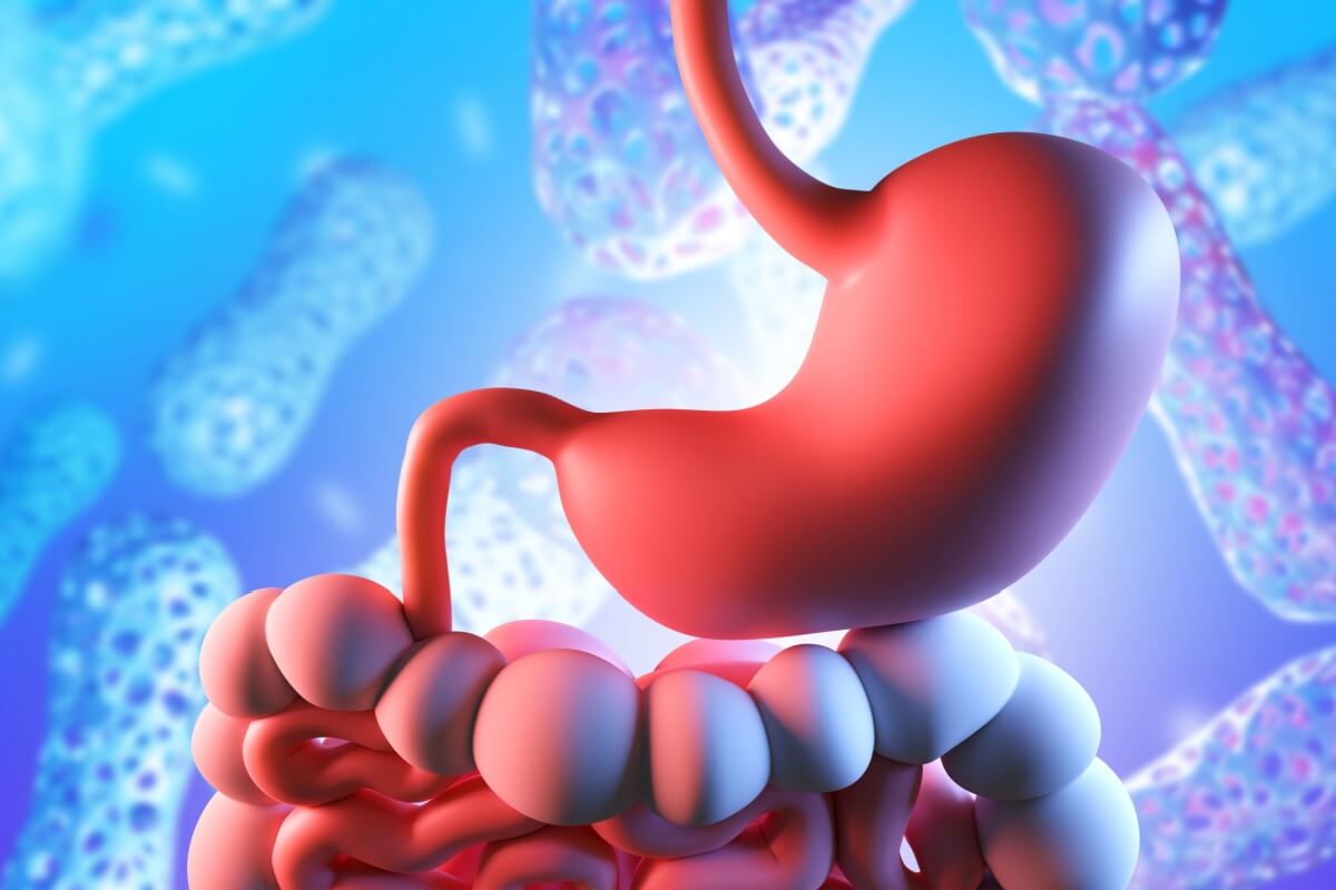 O calor intenso e as aglomerações durante o Carnaval favorecem a proliferação de bactérias que podem causar a gastroenterite (Imagem: 
FOTOGRIN | Shutterstock)