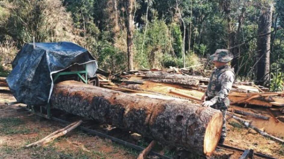 Serraria ilegal foi fechada pela polícia em SC (Foto: Polícia Militar Ambiental, Divulgação)