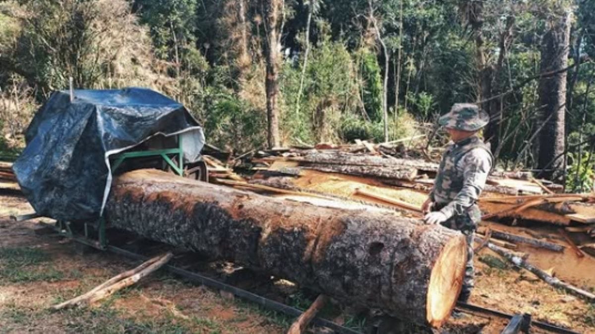 Serraria ilegal foi fechada pela polícia em SC (Foto: Polícia Militar Ambiental, Divulgação)
