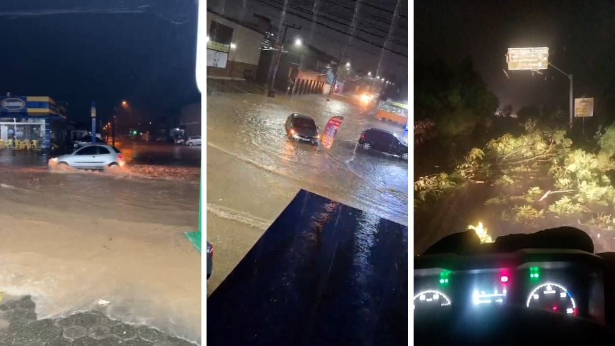 Temporal causou alagamentos em cidades do Norte de SC (Foto: Reprodução, redes sociais)