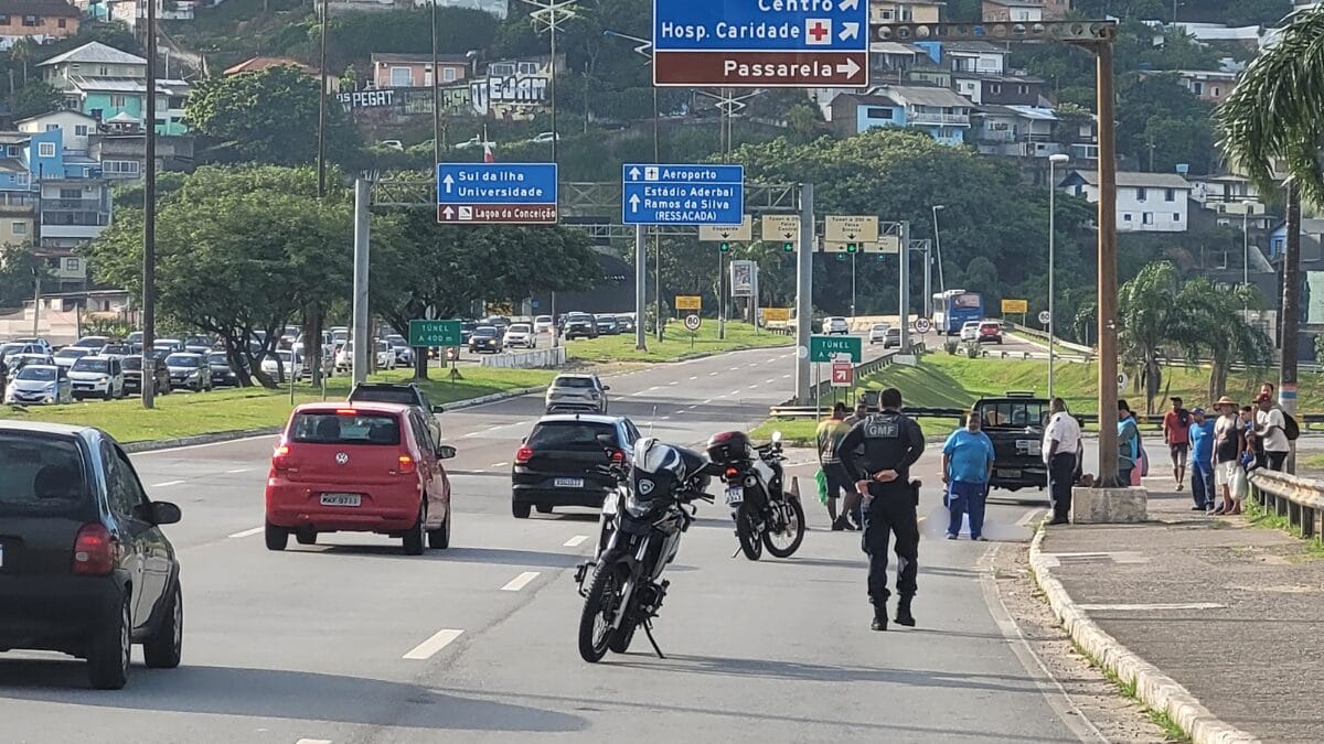 atropelamento