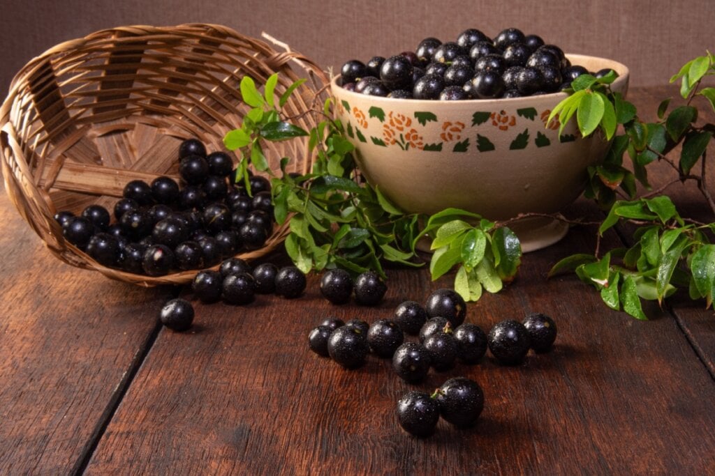 O extrato da casca da jabuticaba pode ajudar na preven&ccedil;&atilde;o ao pr&eacute;-diabetes (Imagem: Milton Buzon | Shutterstock)