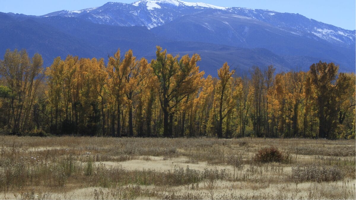 Conheça os 10 lugares mais quentes do mundo