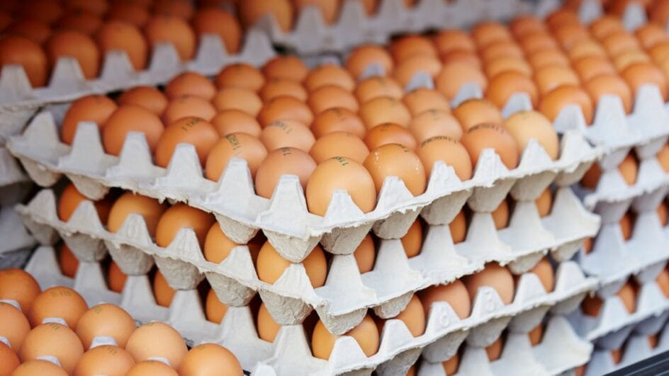 Preço dos ovos vêm aumentando entre atacadistas e preocupa estabelecimentos (Foto: Banco de imagens)