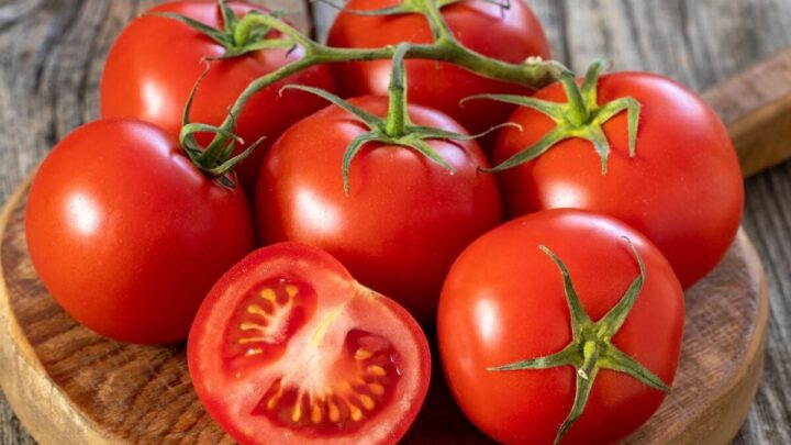 Além de ser um ingrediente clássico na culinária, o tomate pode trazer benefícios surpreendentes para o organismo (Imagem: Enez Selvi | Shutterstock)