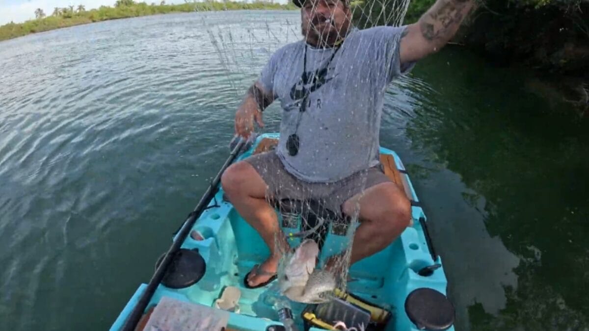 Saiba como é feita a pesca do robalo, uma das mais difíceis e técnicas no Sul de SC 