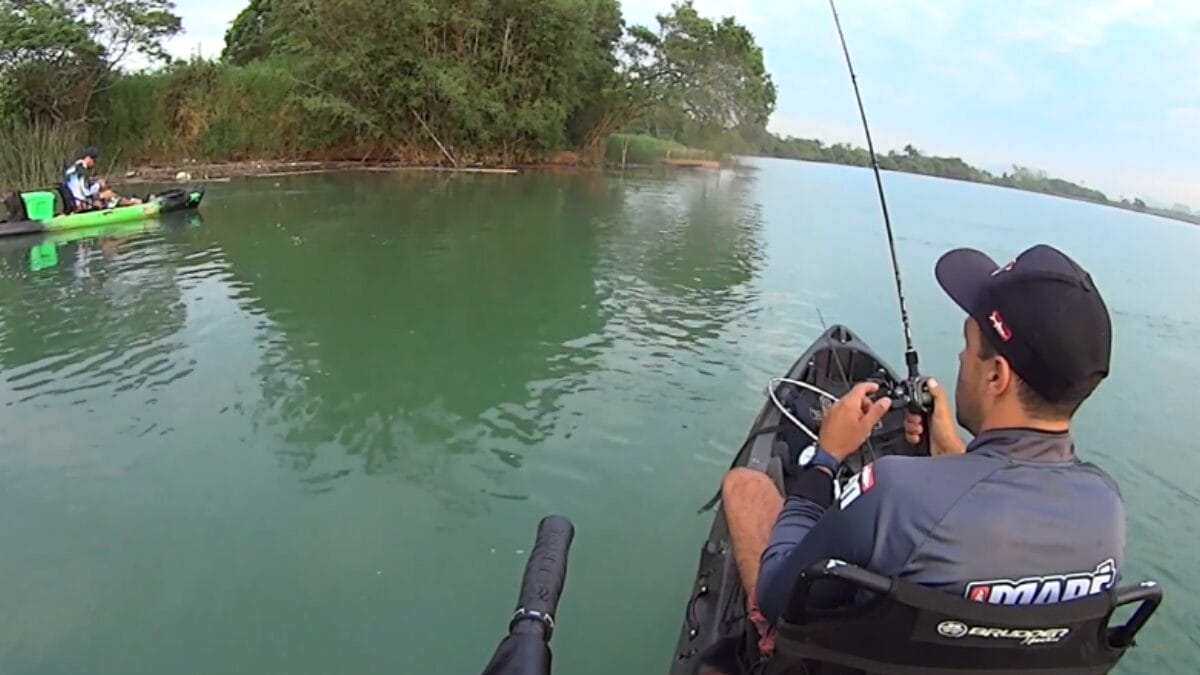 pode medir até 70 centímetros e pesar por volta de cinco quilos