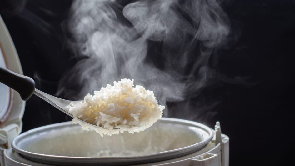 Armazene o arroz em local seco para evitar contaminação por fungos e toxinas.