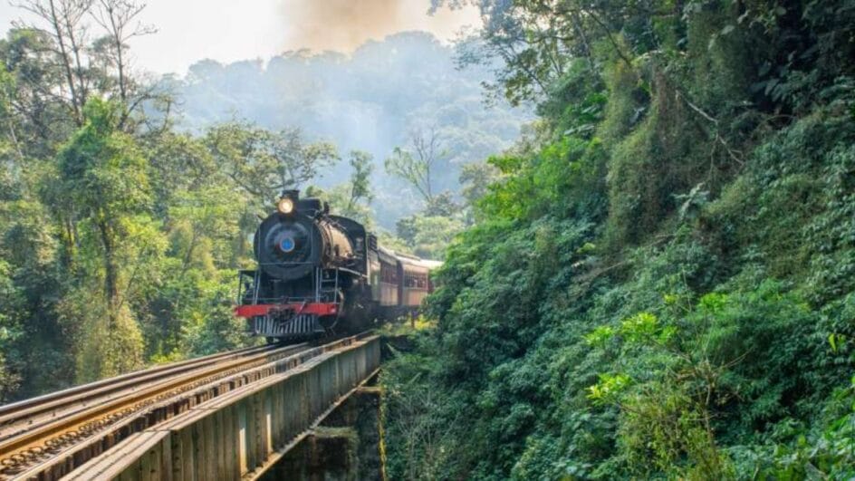 Passeio de trem ocorre no Norte de Santa Catarina (Foto: ABPF, Divulgação)