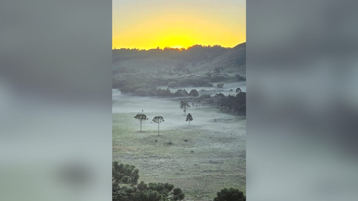 Geada em São Joaquim 20 de março
