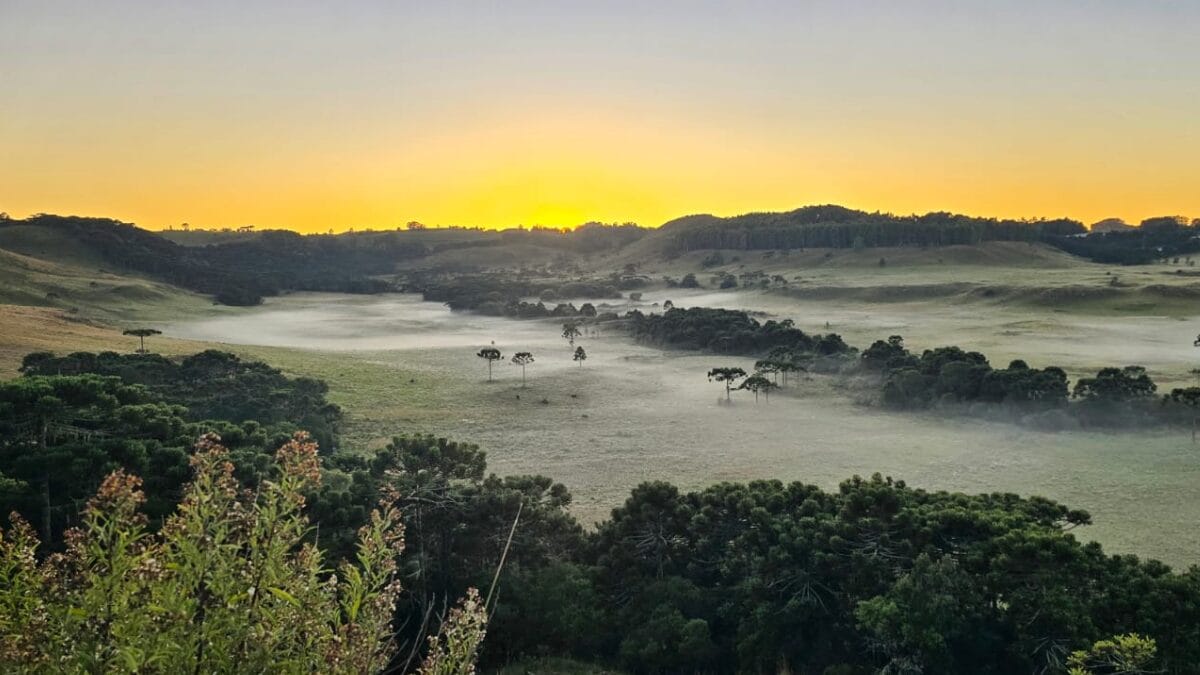 Geada em São Joaquim 20 de março