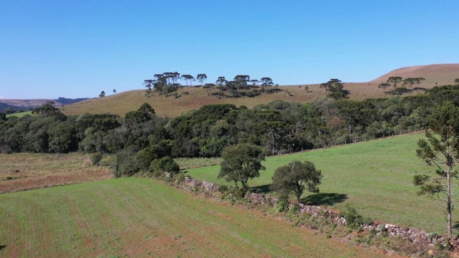 (Fotos Coxilha Films@coxilha.films) (3)