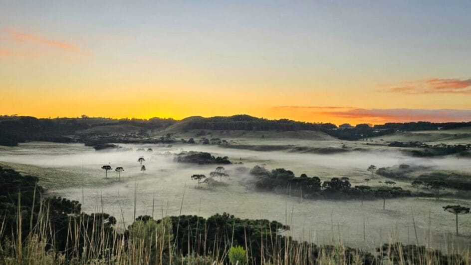 Geada e mínima de 2,5°C marcam o último final de semana do verão na Serra de SC