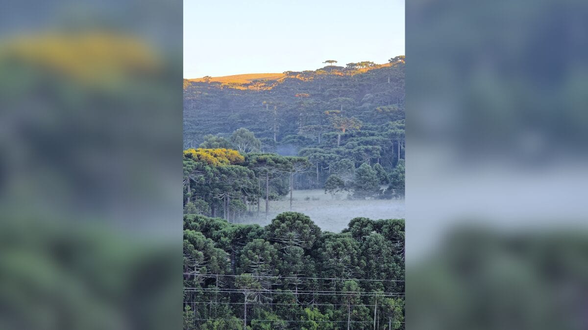 Último dia de verão é marcado por geada e na Serra de SC