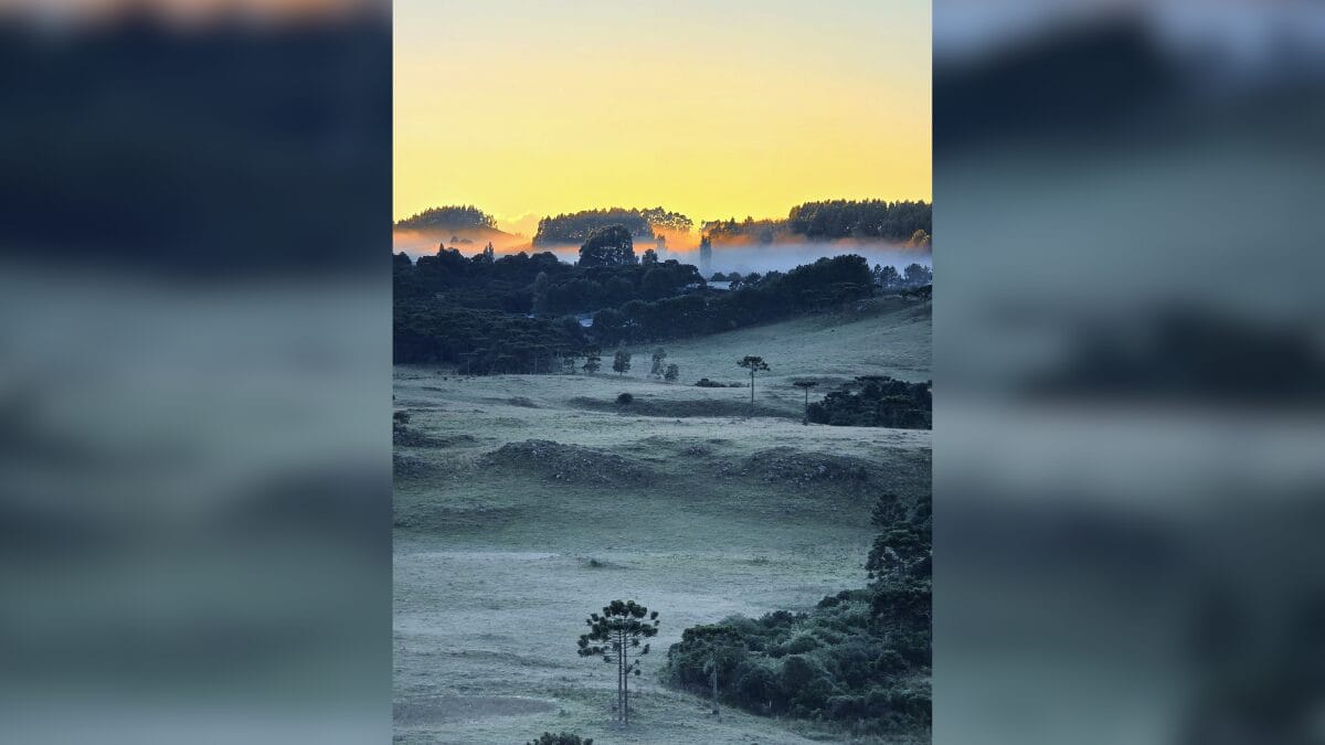 Último dia de verão é marcado por geada e na Serra de SC