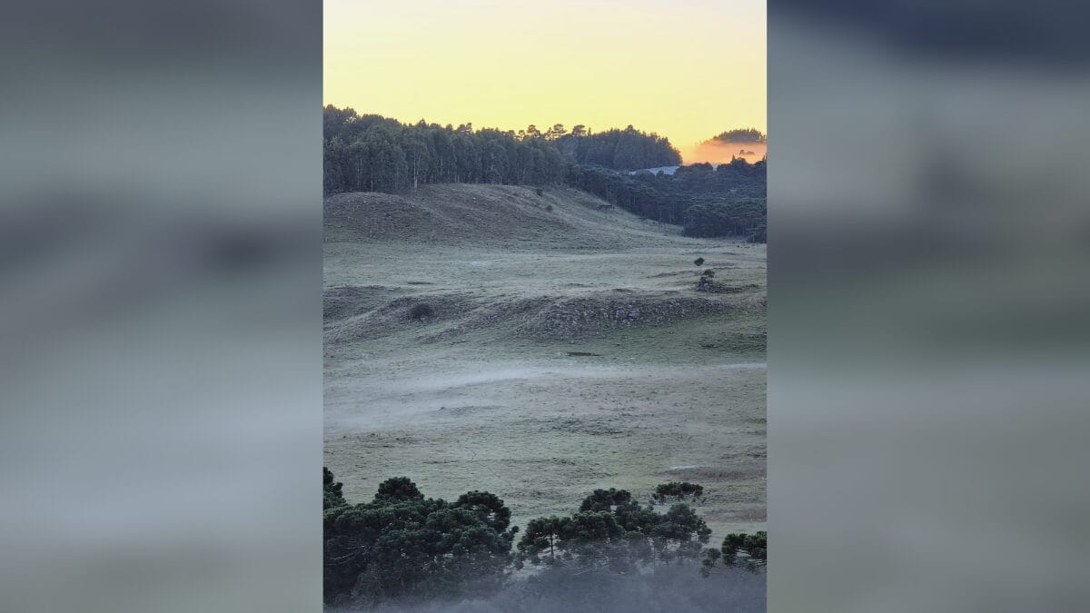 Último dia de verão é marcado por geada e na Serra de SC