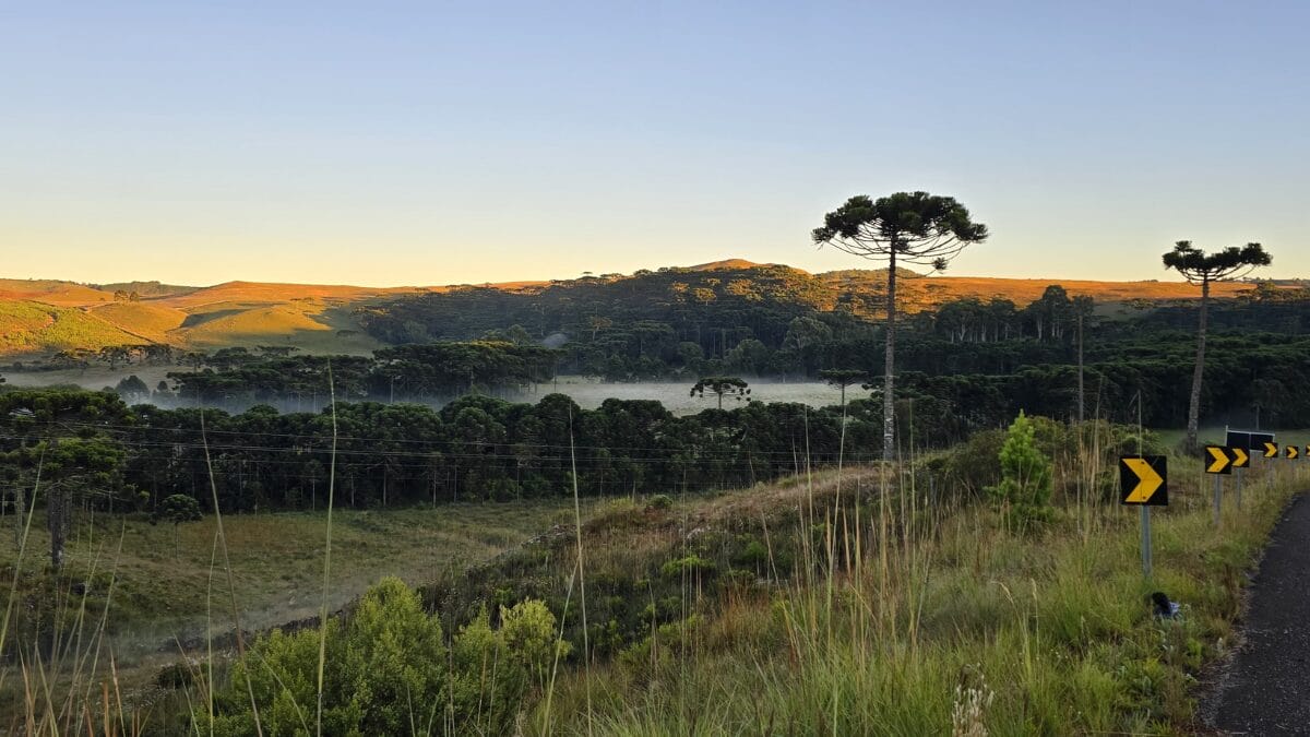 Último dia de verão é marcado por geada e na Serra de SC