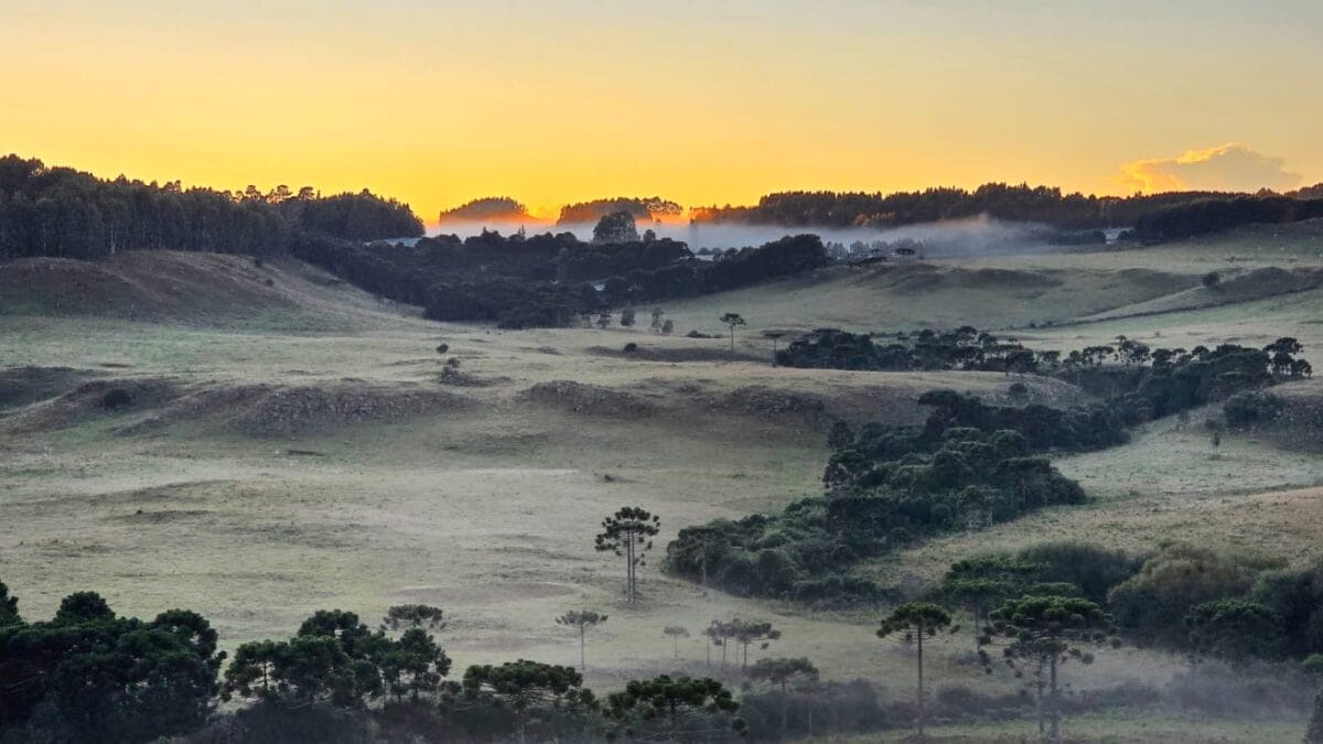 Último dia de verão é marcado por geada e na Serra de SC