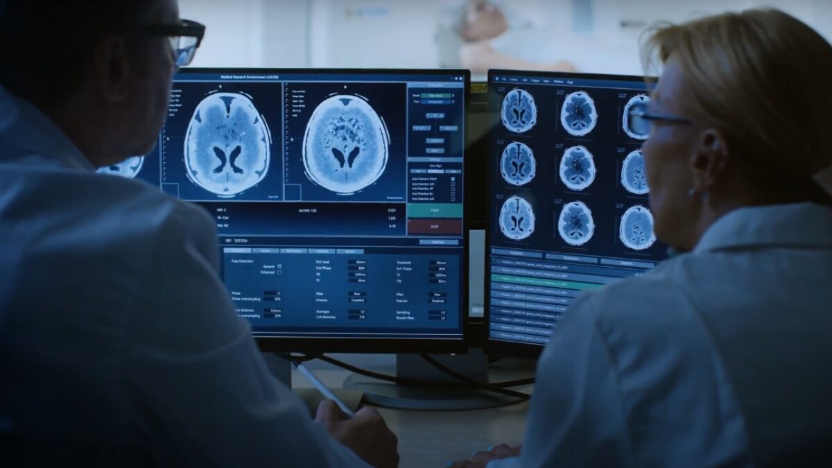 Os anticorpos atuam como guardiões do corpo, marcando e neutralizando invasores