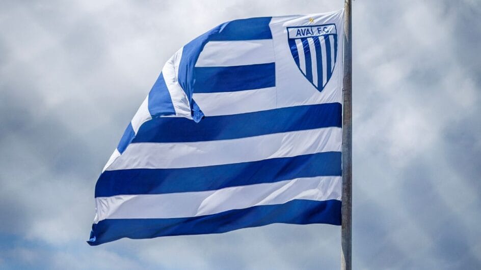 Avaí Futebol Clube, campeão catarinense de 2025 (Foto: Fabiano Rateke/AFC)