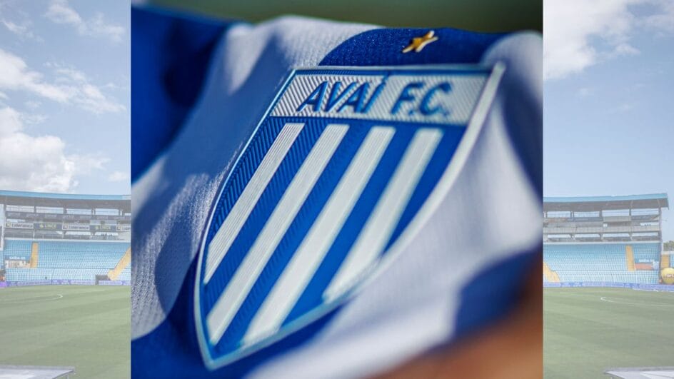 Avaí, com 19 títulos, é o maior campeão do Campeonato Catarinense (Foto: Fabiano Rateke/AFC)