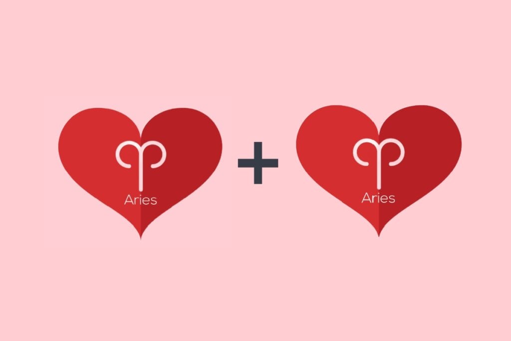 A combina&ccedil;&atilde;o de &Aacute;ries e &Aacute;ries pode ser cheia de energia e competi&ccedil;&atilde;o, mas precisa de equil&iacute;brio para evitar disputas (Imagem: Yury Dmitrienko | Shutterstock)