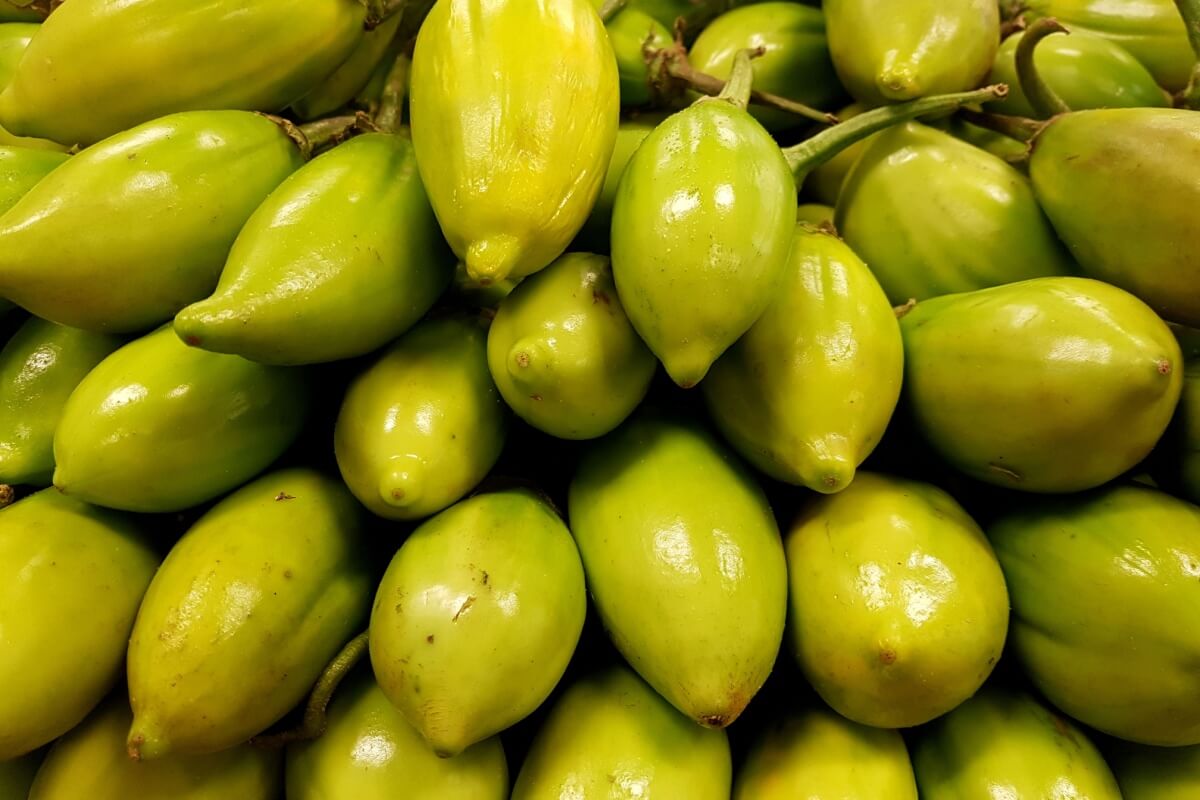 Amplamente produzido no Brasil, o jiló é rico em nutrientes que oferecem inúmeros benefícios para o corpo (Imagem: Marmaide | Shutterstock)