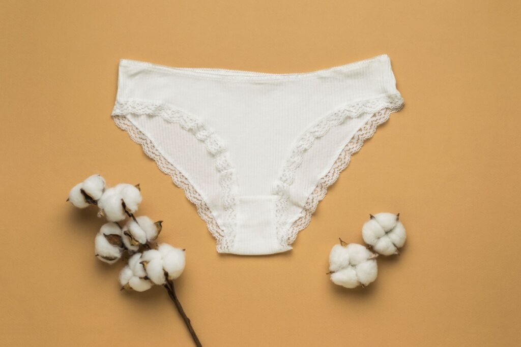 O ideal é utilizar roupas íntimas de algodão no outono (Imagem: VLADIMIR VK | Shutterstock)