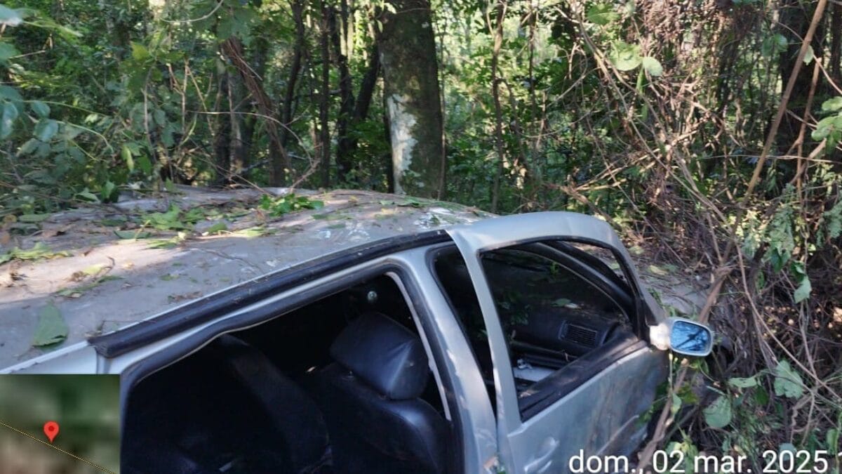 Carro capotou sem o envolvimento de outros veículos (Foto: CBMSC, Divulgação)
