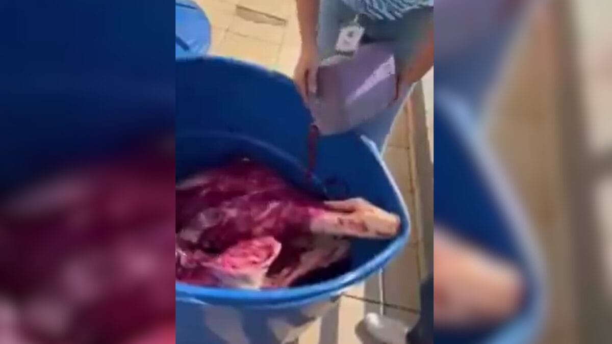 Corante era usado para avermelhar carnes já estragadas (Foto: Reprodução)