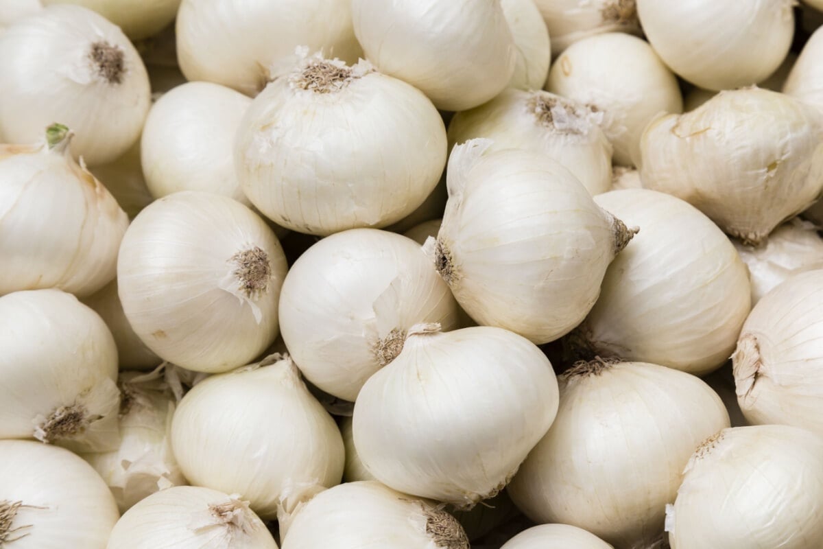 A cebola é um ingrediente versátil na cozinha (Imagem: Cornelia Pithart | Shutterstock)