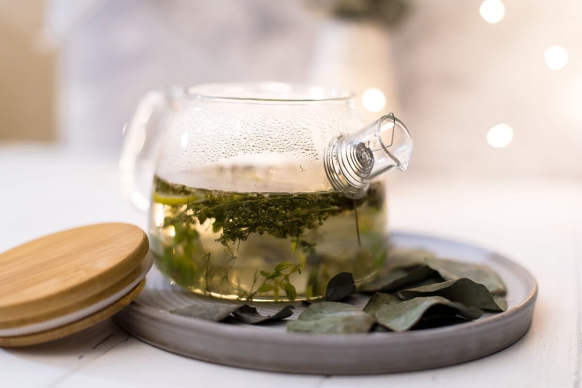 Chá respiratório com tomilho, hortelã e eucalipto (Imagem: AnnieBrusnika | Shutterstock)