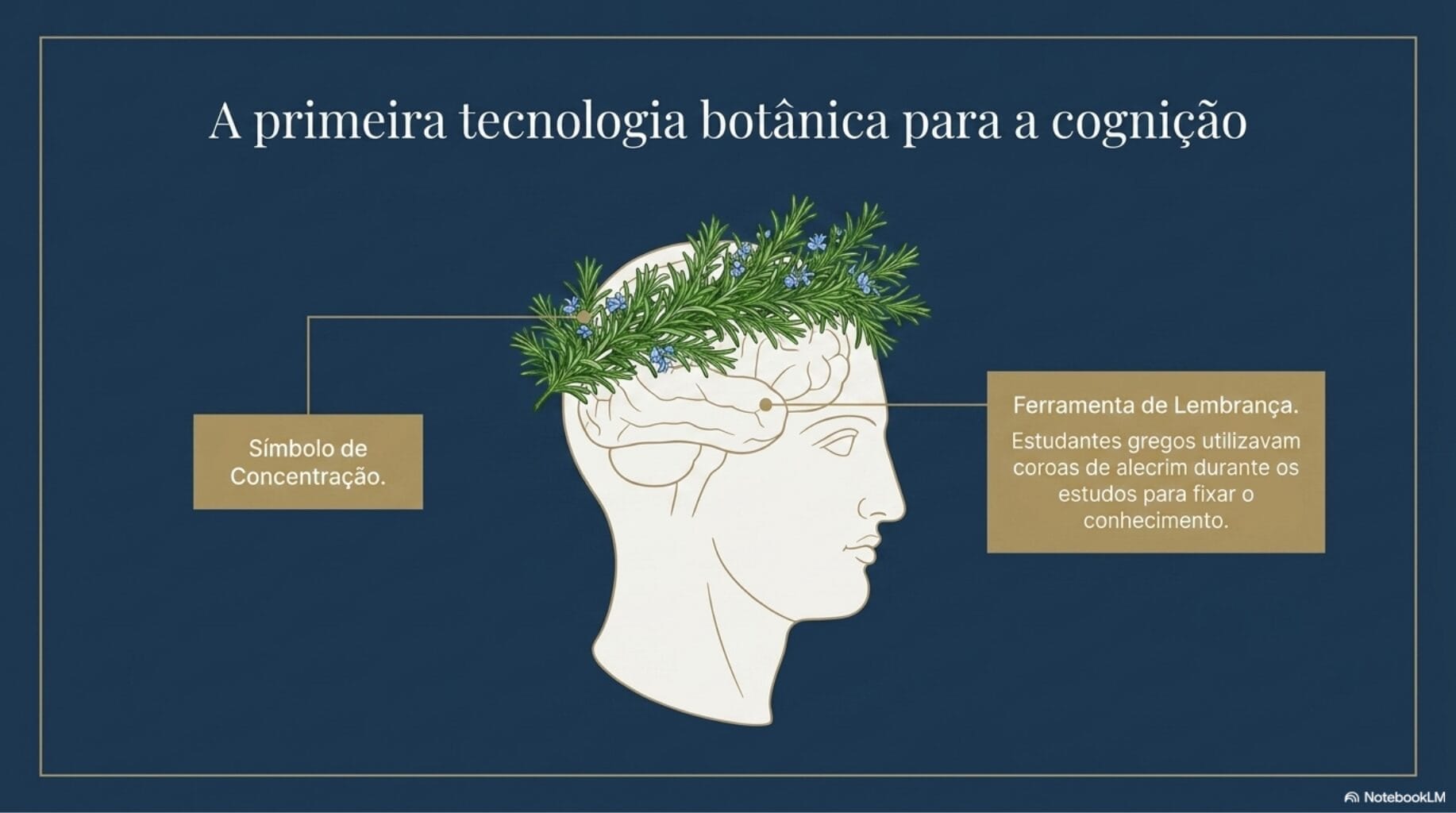 história do alecrim
