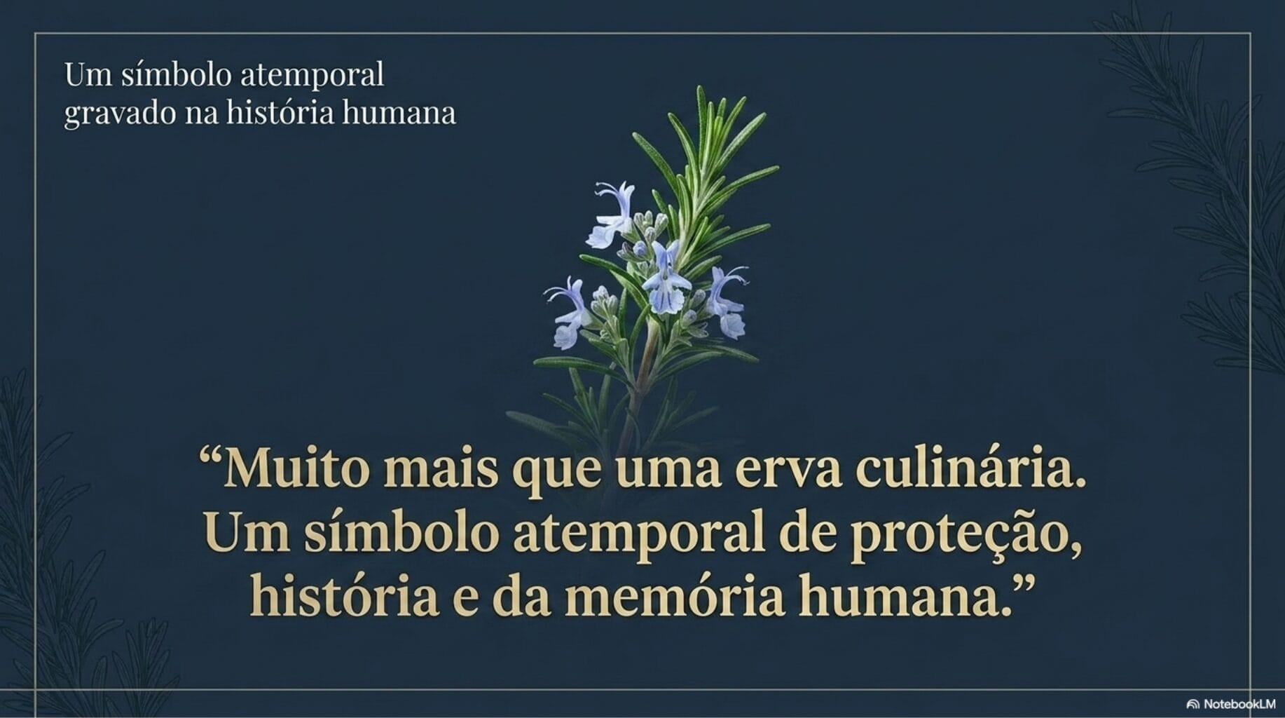 erva da memória