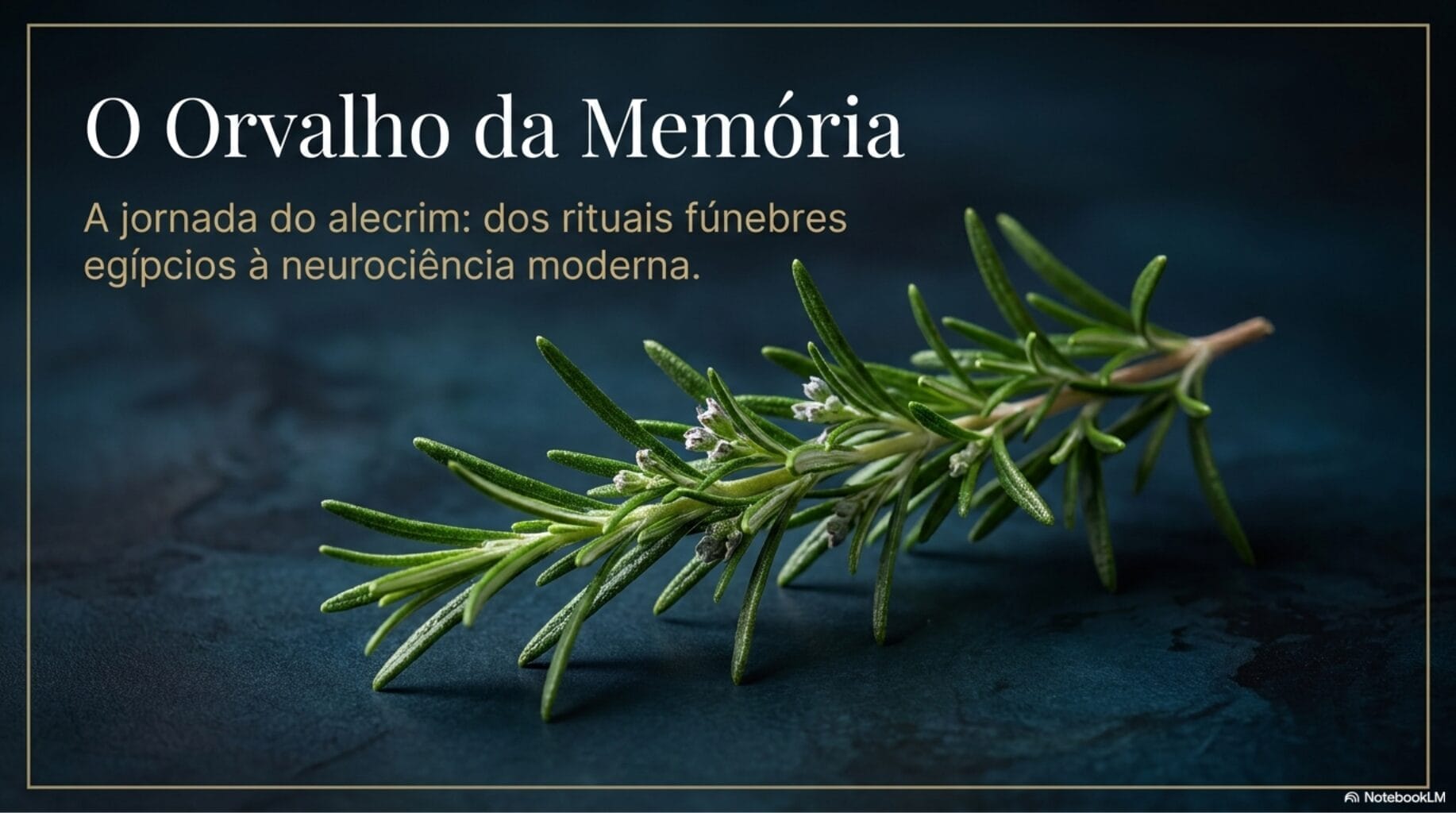 história do alecrim